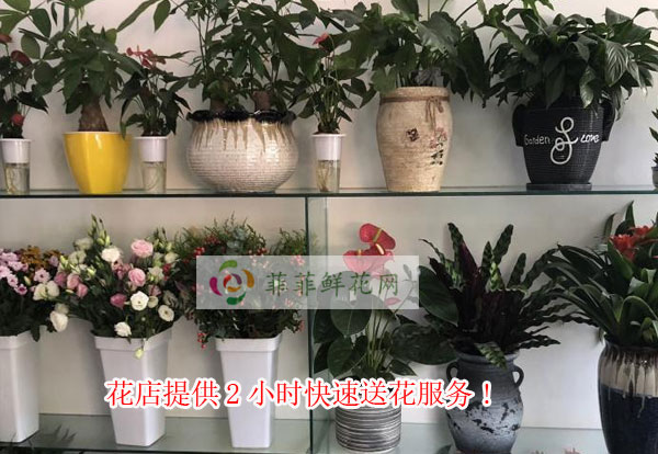 河池天峨县花店提供河池天峨县2小时快速送花服务