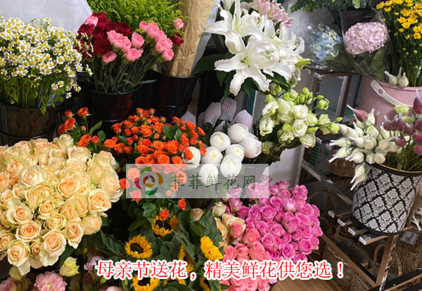 2024河池天峨县母亲节送花,河池天峨县精美鲜花供您选!
