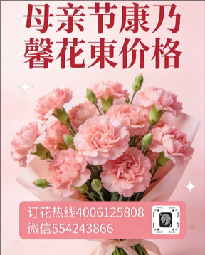 河池天峨县花店母亲节康乃馨花束